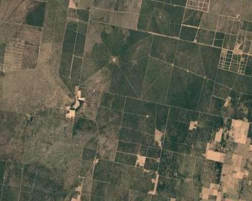 San Luis, Campo Ganadero Arrendamiento 11.000 Has