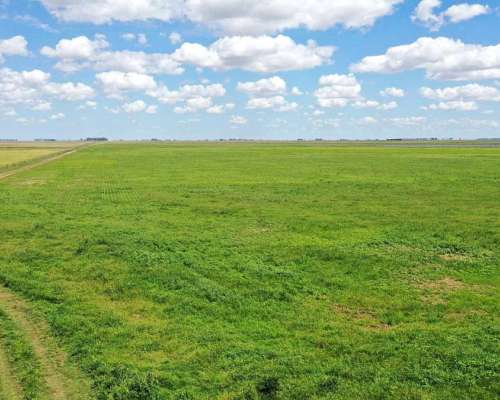 Pcia. de Buenos Aires - Cañada Seca 844 Has