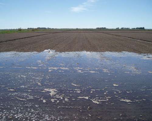 Palón Nivelador para Laser o GPS Linea RF