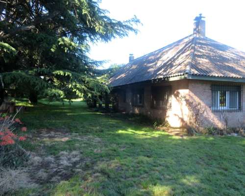 Dorbigny - 80 Ha - Buenos Aires