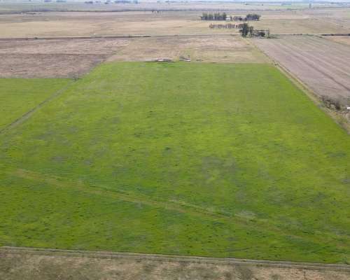 10 Hectáreas Agrícolas a 500 Metros de Ruta, Gualeguaychú.