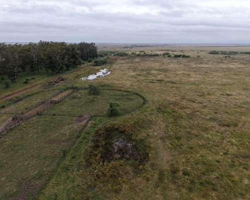 878 HA. Ganadero, Cria. Depto, San Martin (santa FE)