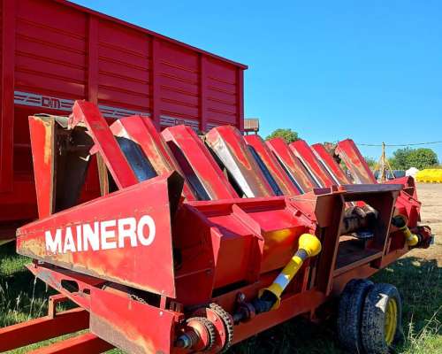 Maicero Mainero de 8 a 52