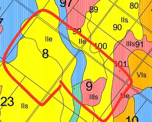 En Venta 170 Hectareas Limpias