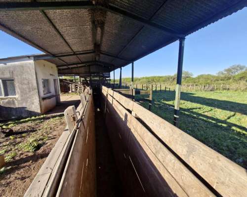 Alto Alegre, Patiño, Formosa - 46.106 Ha