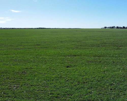 Vendo 650 Hectáreas Agrícolas