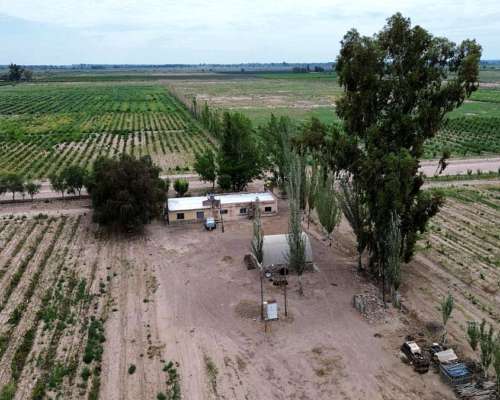 Finca 45ha Chapanay, Dos Pozos, Cultivos y Parte para Chacra