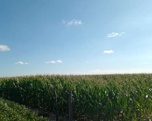 69 Ha en Venta en Monte Cristo