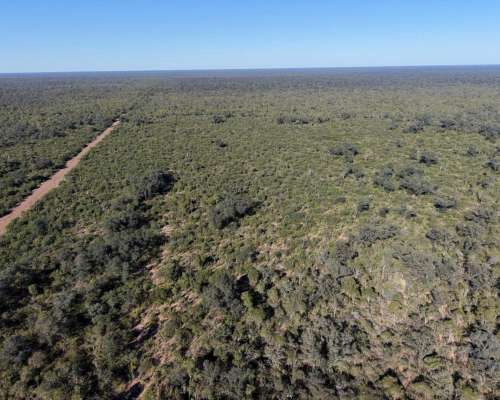 Taco Pozo, Almirante Brown, Chaco - 2.560 Ha