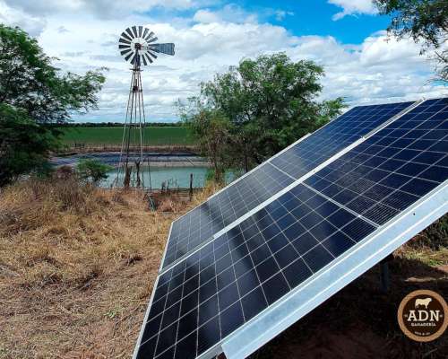 Bombeo Solar para Ganadería