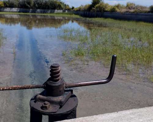 Se Vende Excelente Chacra