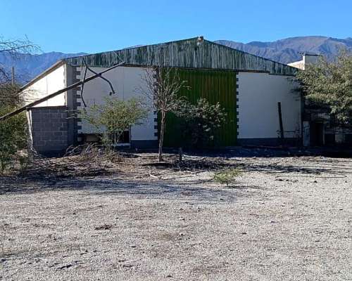 🚨 Oportunidad Única de Inversión Agropecuaria en Catamarca