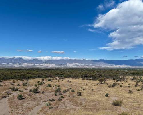 Pcia. de Tucuman - Tolombon 320 Ha