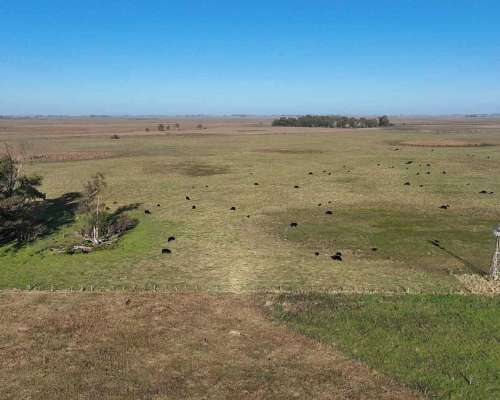Pcia. de Buenos Aires - Gorch 860 Ha