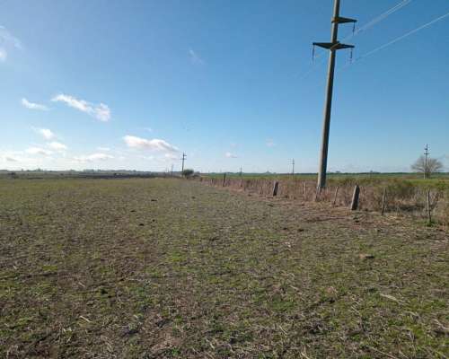 250 Ha Sobre Ruta 12. Buena Aptitud Agrícola