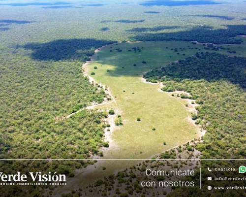 3600 Has en Venta - Pcia de Chaco, Almirante Brown