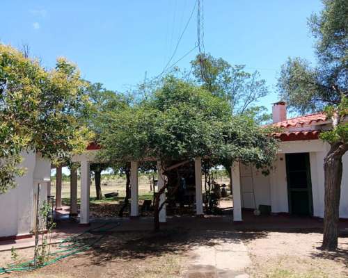 10000 Has Ganaderas en Union Prov. de San Luis