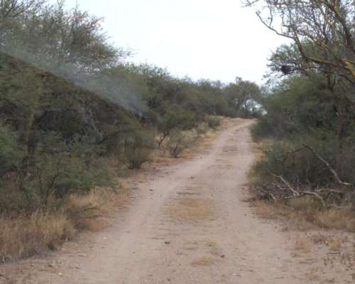 Liborio Luna 430 Has