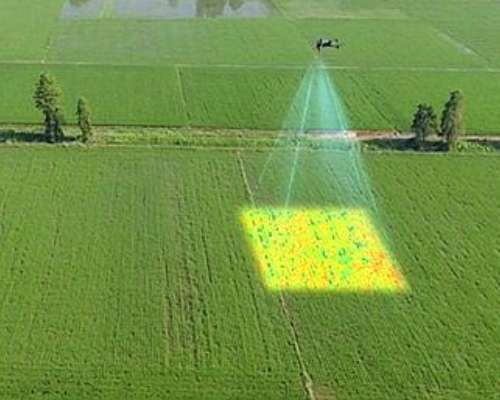 Drone DJI Mavic 3m (mapeo Multiespectral)