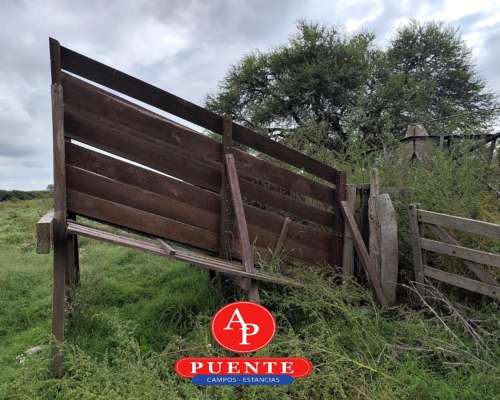 En Venta Campo Ganadero