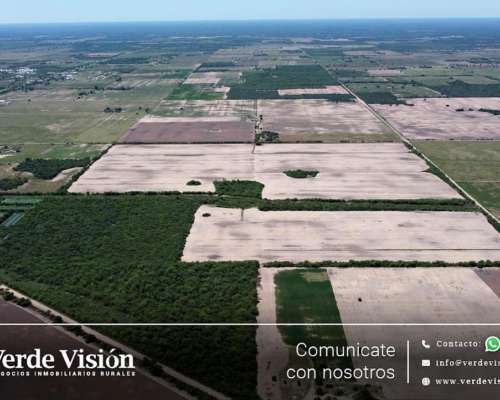 100 Has en Venta - Pcia del Chaco, Juan José Castelli