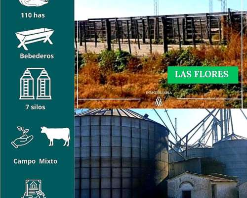 Campo en las Flores 110 Has