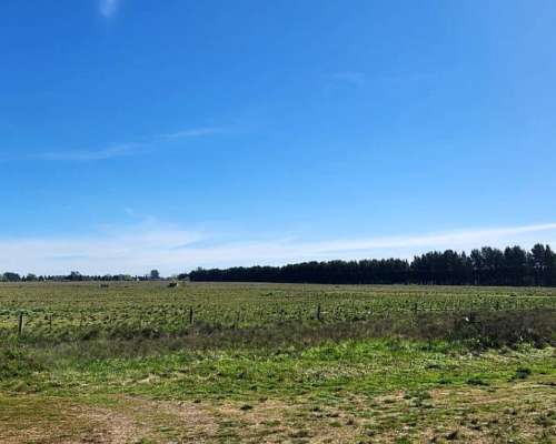 Brandsen -68 HA- Buenos Aires