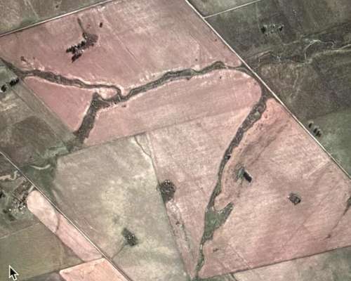 Concordia. Campo Agricola Ganadero