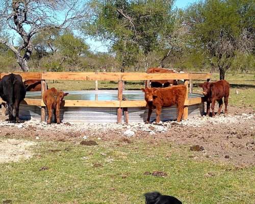 Bebedero de Chapa Diferentes Medidas