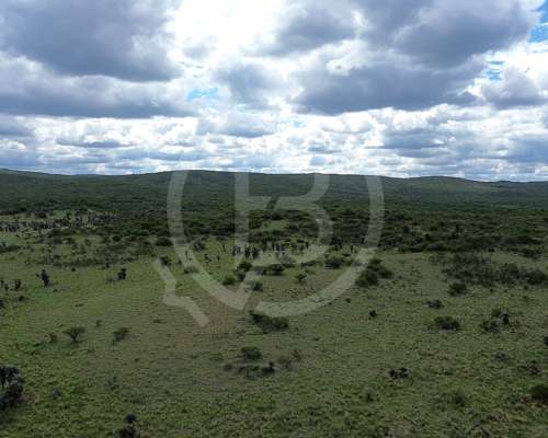 Campo Mixto en Venta- 3.068 Ha en San Pedro Norte, Córdoba