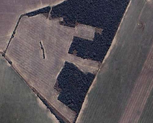 25 Ha Agrícolas Premium Luz, Pozo y Pago Adelantado la C