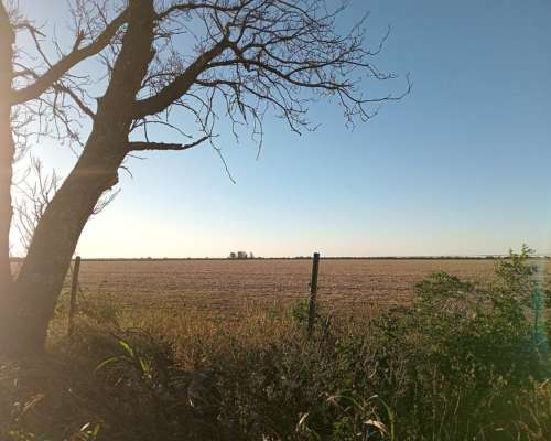 37.5 Ha en Venta en Piquillín