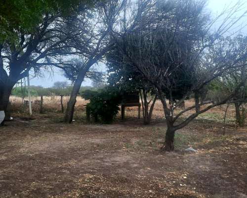 Dueño Vende Campo 47 Ha en Pozo Cavado S/ Ruta 146