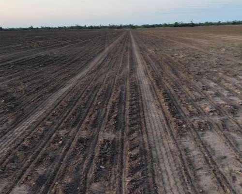 Campo Agricola 589 Has - Tres Isletas Chaco