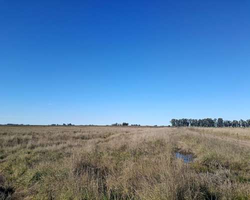 608 HA, Mixto, Azul
