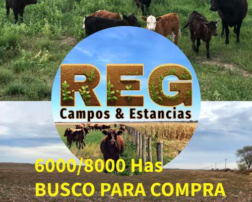 Busco por Pedido Concreto