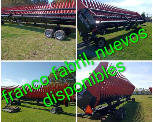 Girasoleros de 19 y 21 a 52 Disponibles