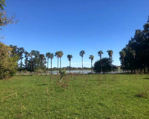 Campo en Venta – 50 Ha en Monasterio, Sobre Ruta 2. con Casc
