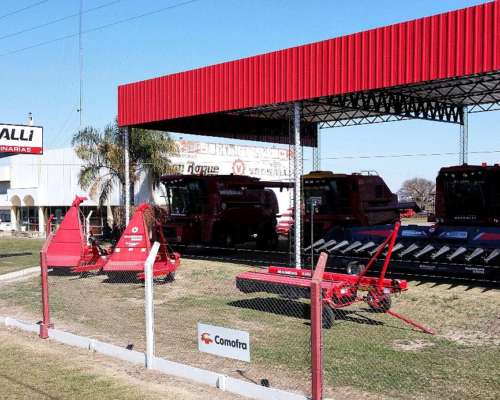 Mainero 1040 Cabezal Girasolero – 19 Líneas Bandeja Fina