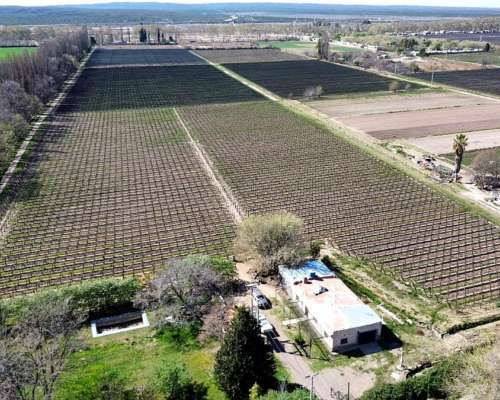 Venta de Finca en Agrelo, Lujan de Cuyo - Mendoza