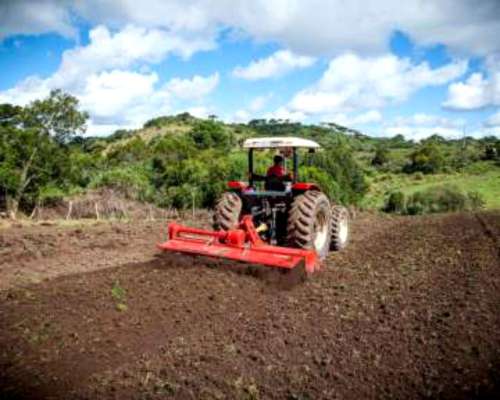 Rotocultivador (rotovator) Lavrale Modelo R S 250/6