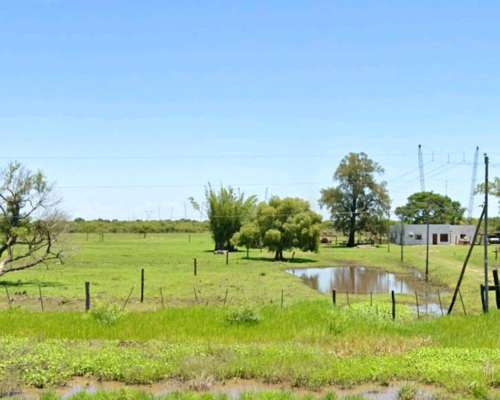 62 Hectáreas Mixtas . Sobre Ruta N463