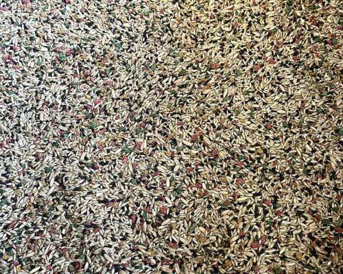 Vendemos Mezcla para Canario Propias en Todas las Provincias