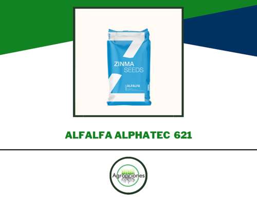 Semilla de Alfalfa Alphatec 621
