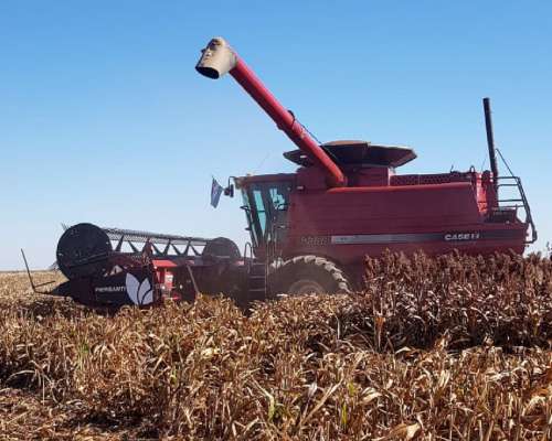 Reforma TU Case a Lona Piersanti Hasta 45 Pies