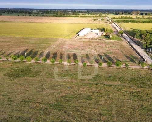 Terreno de 8 Ha Zona Sur, Córdoba