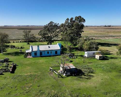 Pehuajó, Buenos Aires - 2.422 Ha
