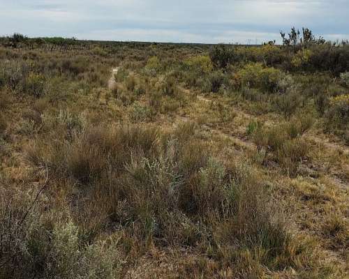 550 HA- Arena Silicea-valle Rio Colorado-peñas Blancas