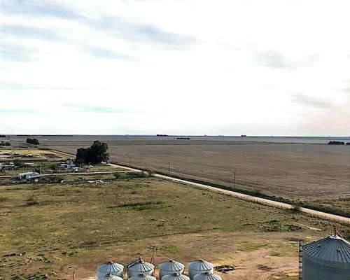 Venta Planta de Silos en Coronel Dorrego
