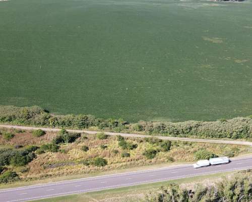 60 Hectáreas Agrícolas Sobre Ruta, Larroque, Entre Rios.